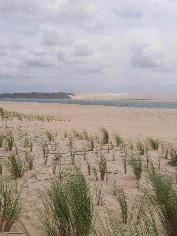 Dune La Teste-de-Buch Exteriér fotografie